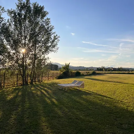 Podere Raparello * Castel del Bosco (Pisa)